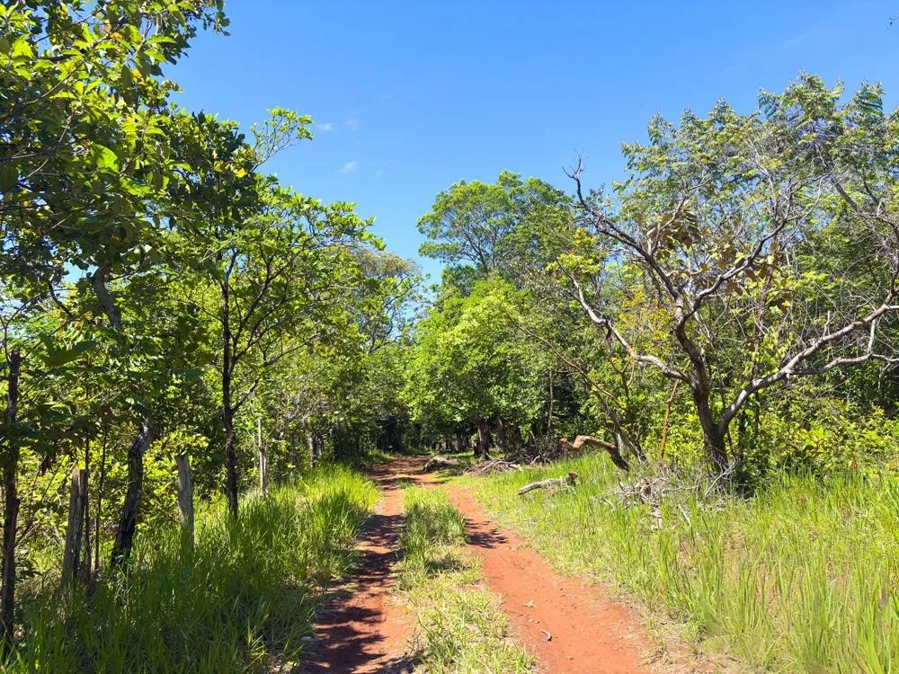 Spacious 59,086 m² Land in Síndigo, Caldera