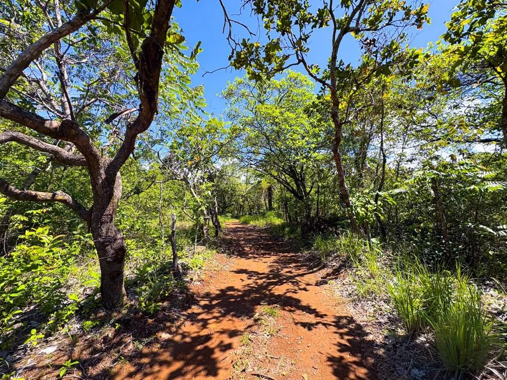 Spacious 59,086 m² Land in Síndigo, Caldera