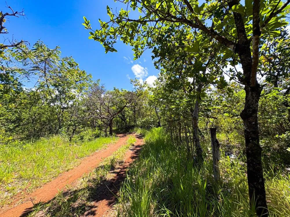Spacious 59,086 m² Land in Síndigo, Caldera