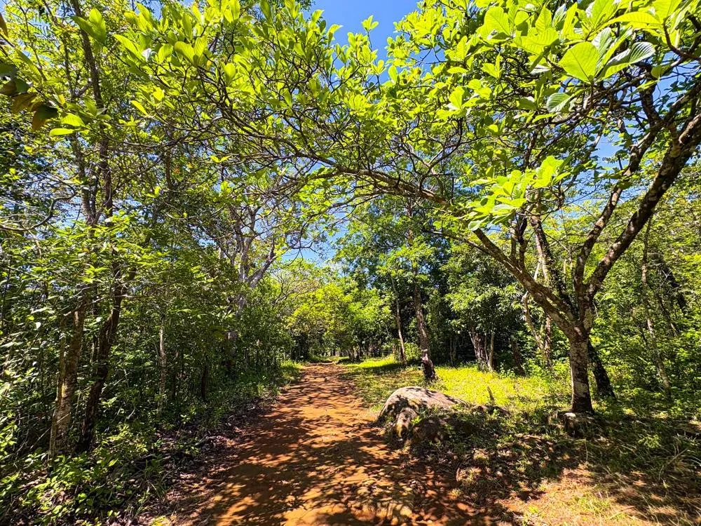 Spacious 59,086 m² Land in Síndigo, Caldera