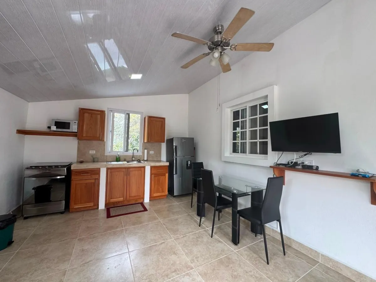 Apartamento de una Habitación en Alquiler en Alto Boquete