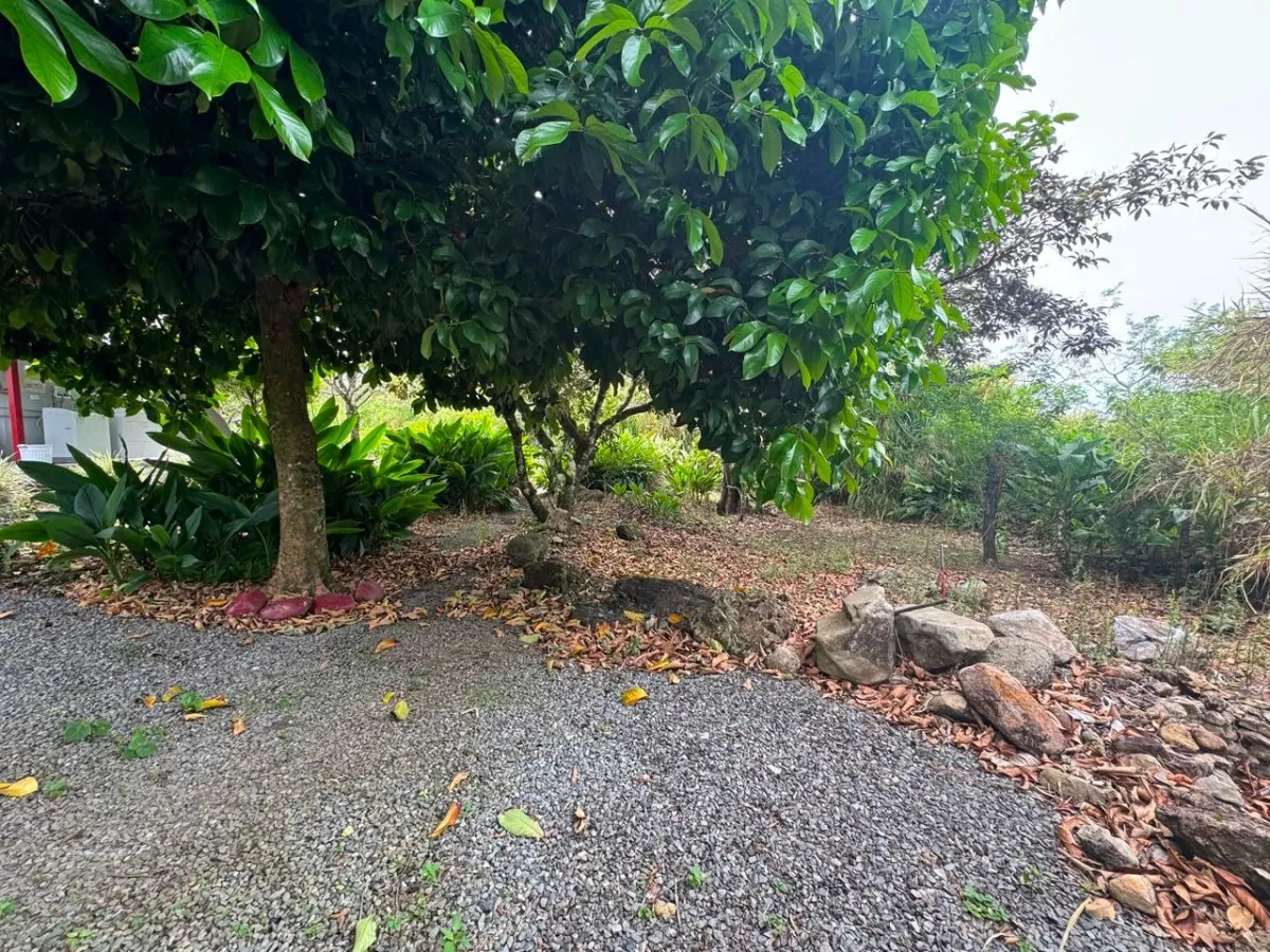 Apartamento de una Habitación en Alquiler en Alto Boquete