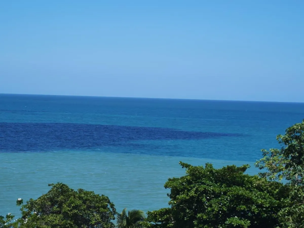2 Bedroom Ph Coronado Bay Sunrise Side Apartment