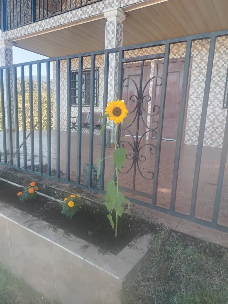 Cabin for rent in Volcan