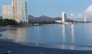 Surfer's Paradise