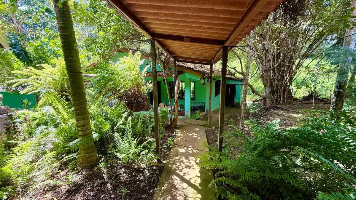 2.2 HA IN CERMEÑO WITH EXCELLENT LOCATION