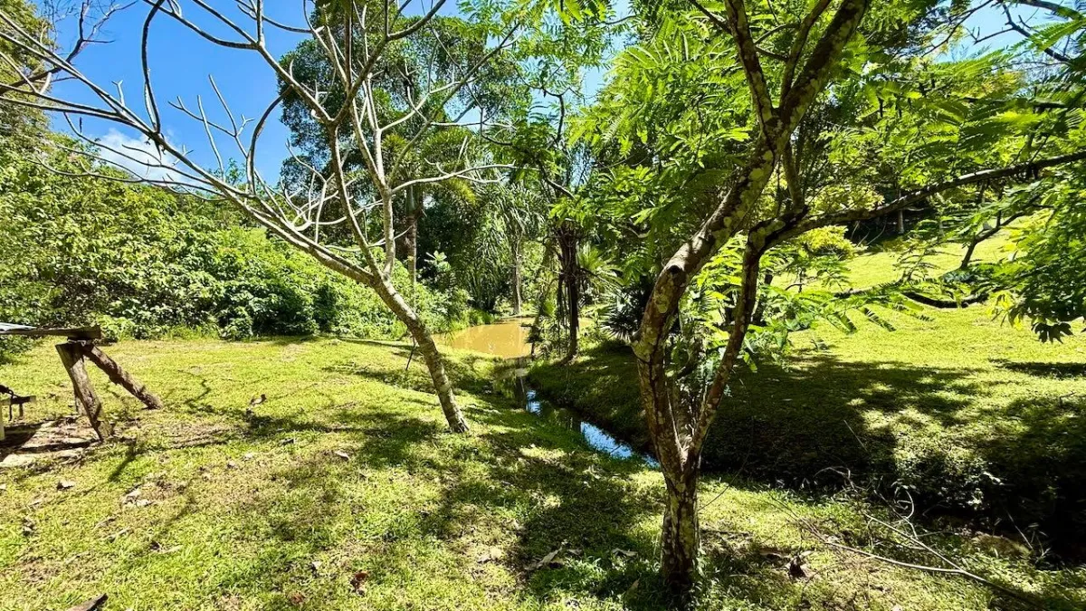 2.2 HA IN CERMEÑO WITH EXCELLENT LOCATION