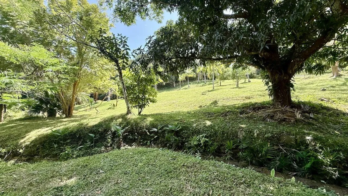 2.2 HA IN CERMEÑO WITH EXCELLENT LOCATION