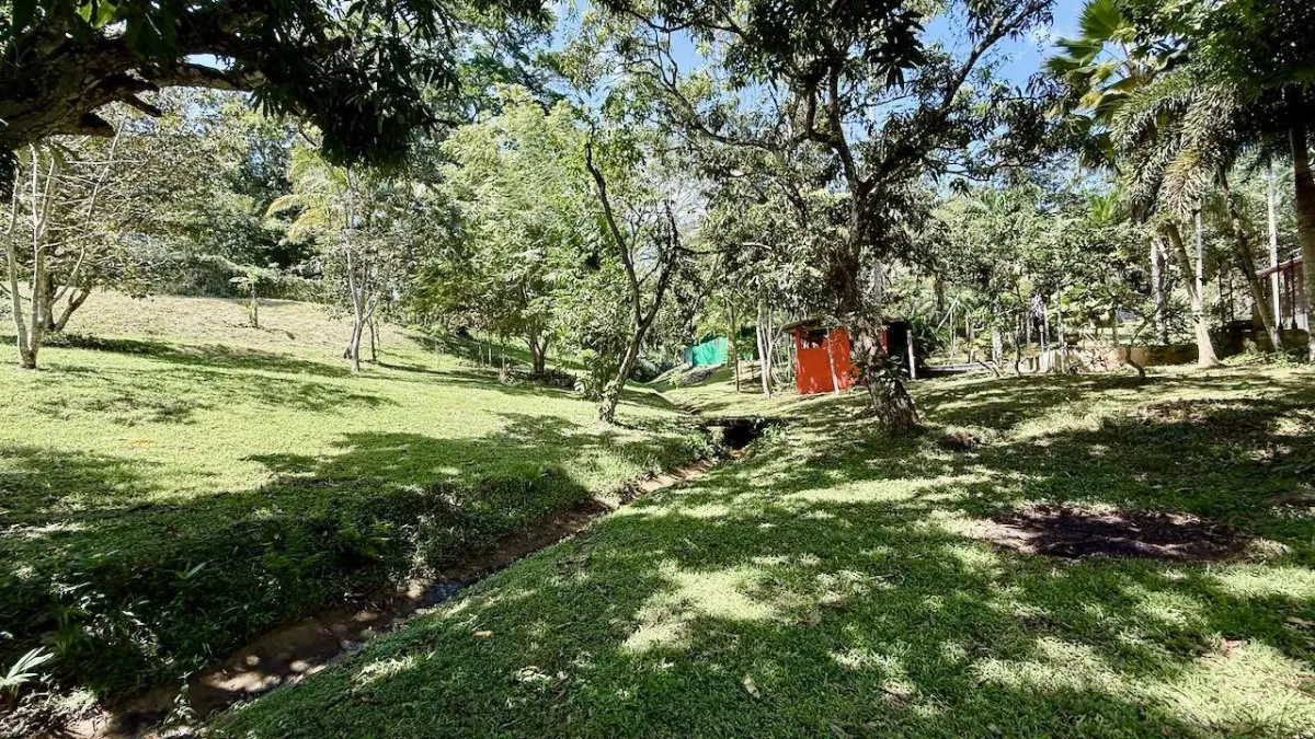 2.2 HA IN CERMEÑO WITH EXCELLENT LOCATION