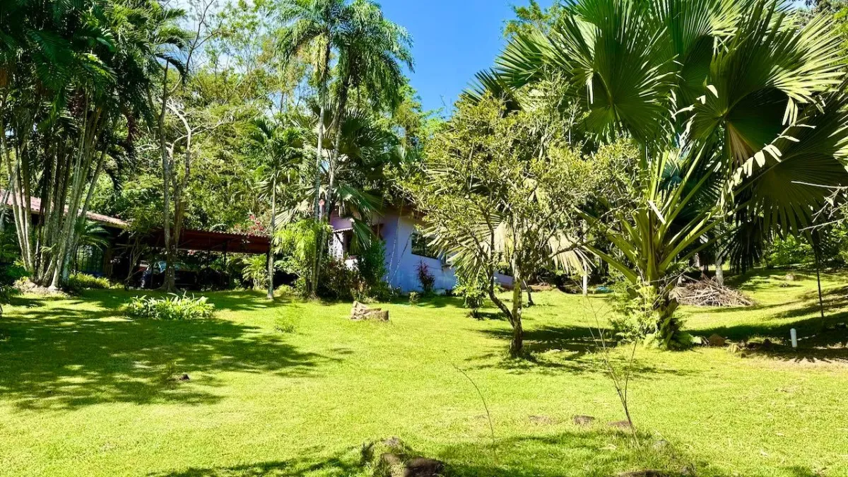 2.2 HA IN CERMEÑO WITH EXCELLENT LOCATION