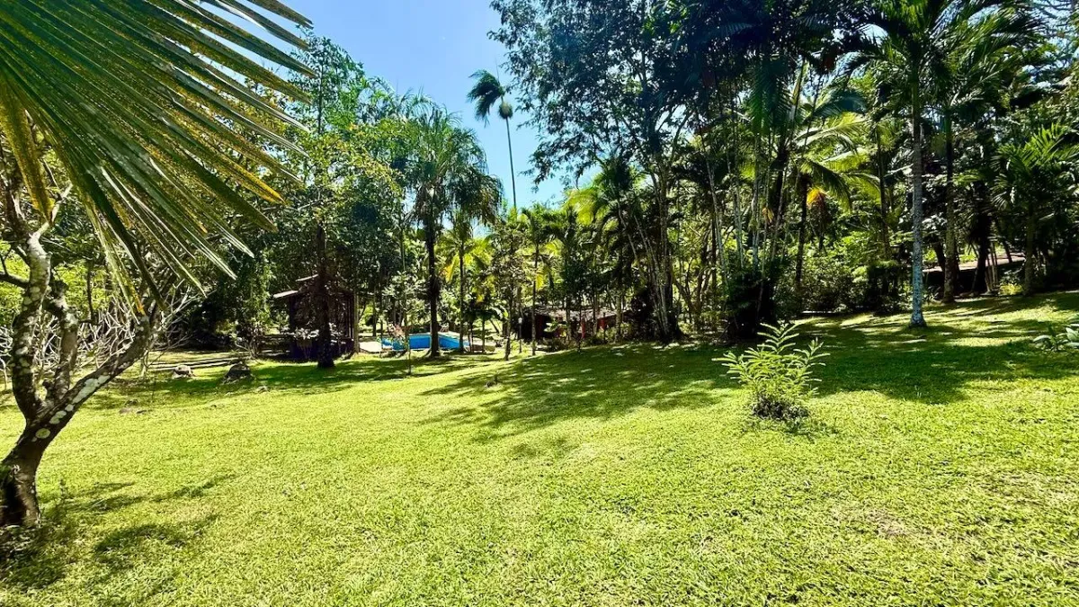 2.2 HA IN CERMEÑO WITH EXCELLENT LOCATION