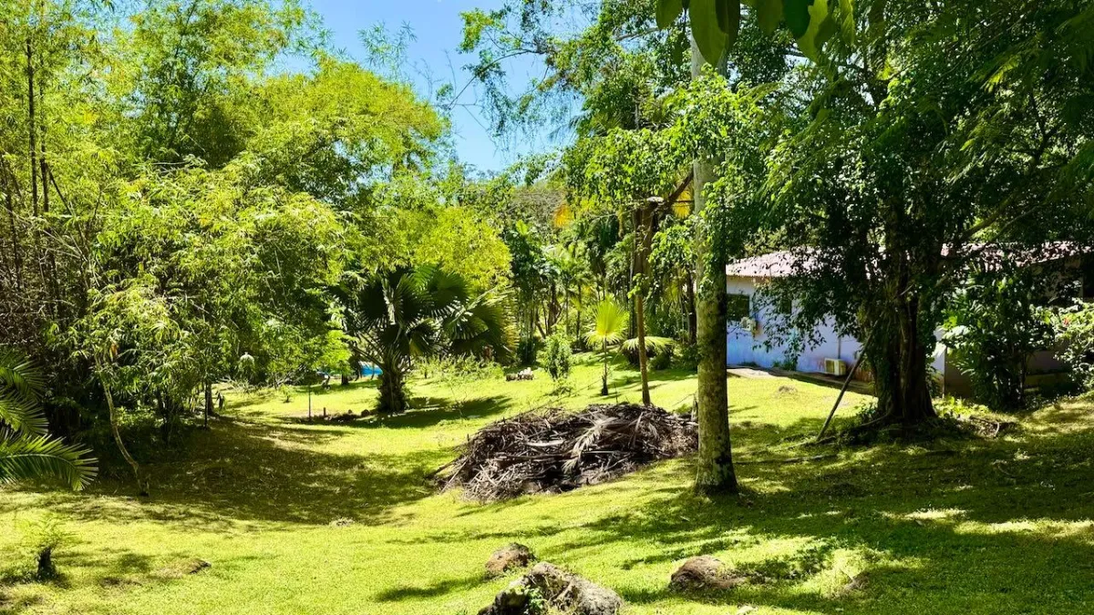 2.2 HA IN CERMEÑO WITH EXCELLENT LOCATION