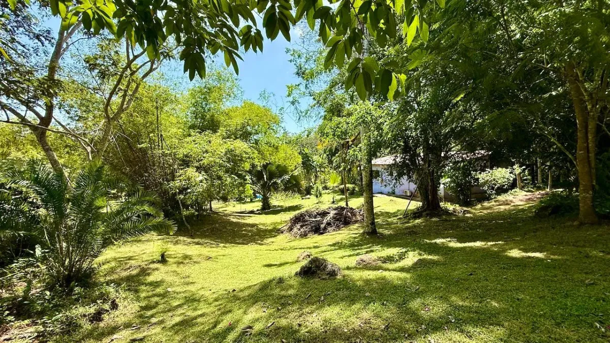 2.2 HA IN CERMEÑO WITH EXCELLENT LOCATION