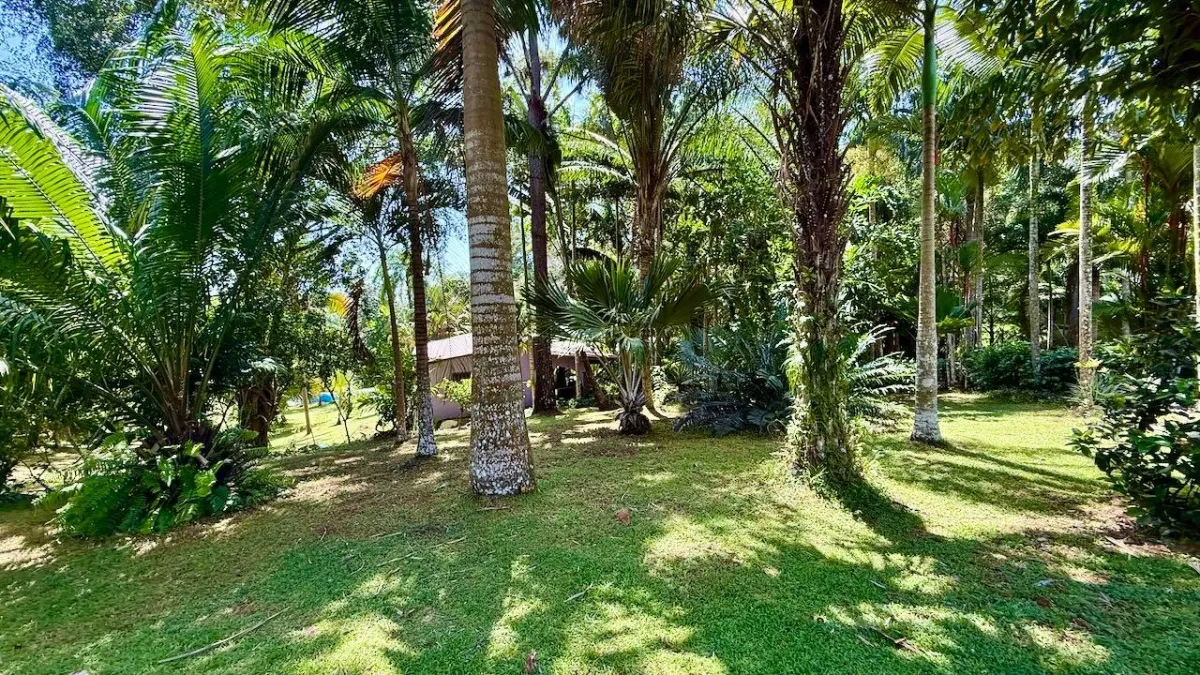 2.2 HA IN CERMEÑO WITH EXCELLENT LOCATION