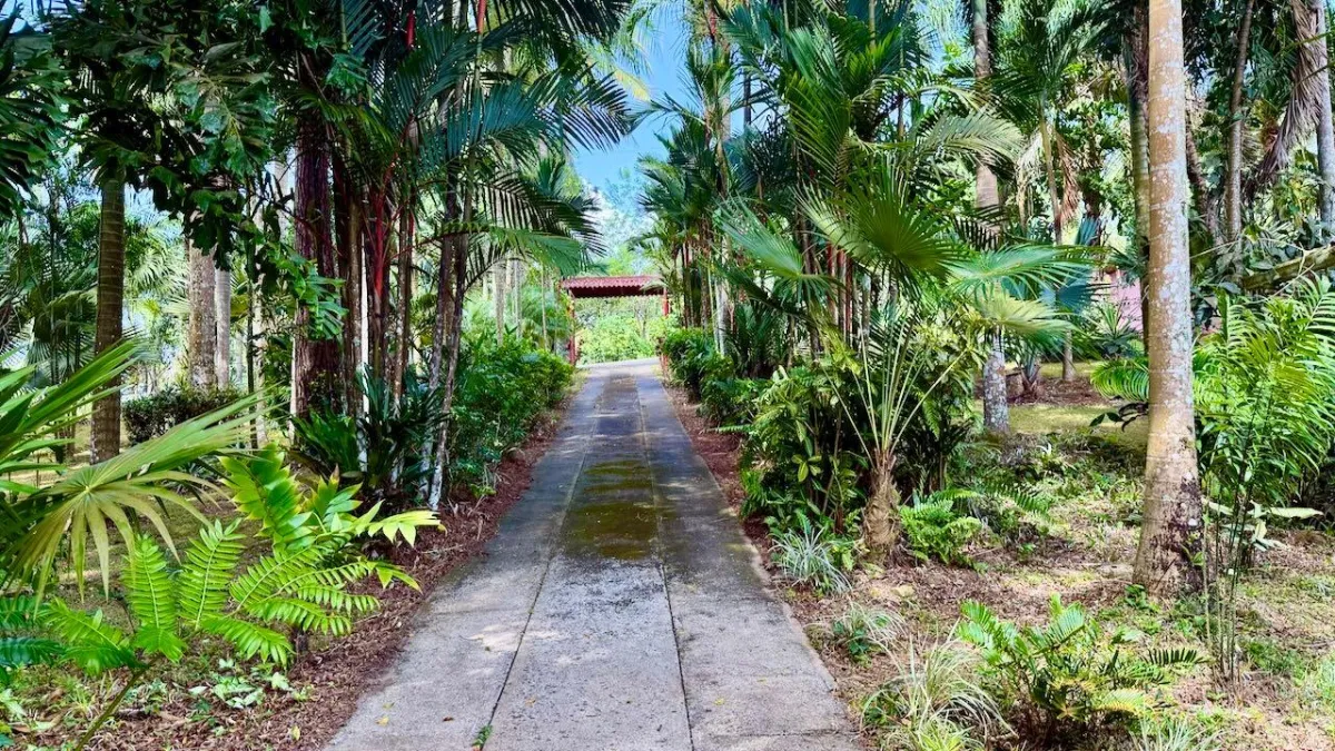2.2 HA IN CERMEÑO WITH EXCELLENT LOCATION