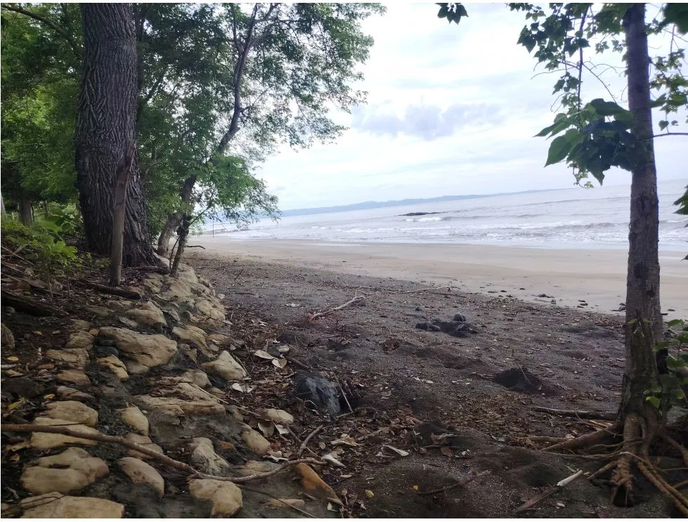 Oceanfront Lot for Sale in Playa Bucaro, Tonosí – Los Santos