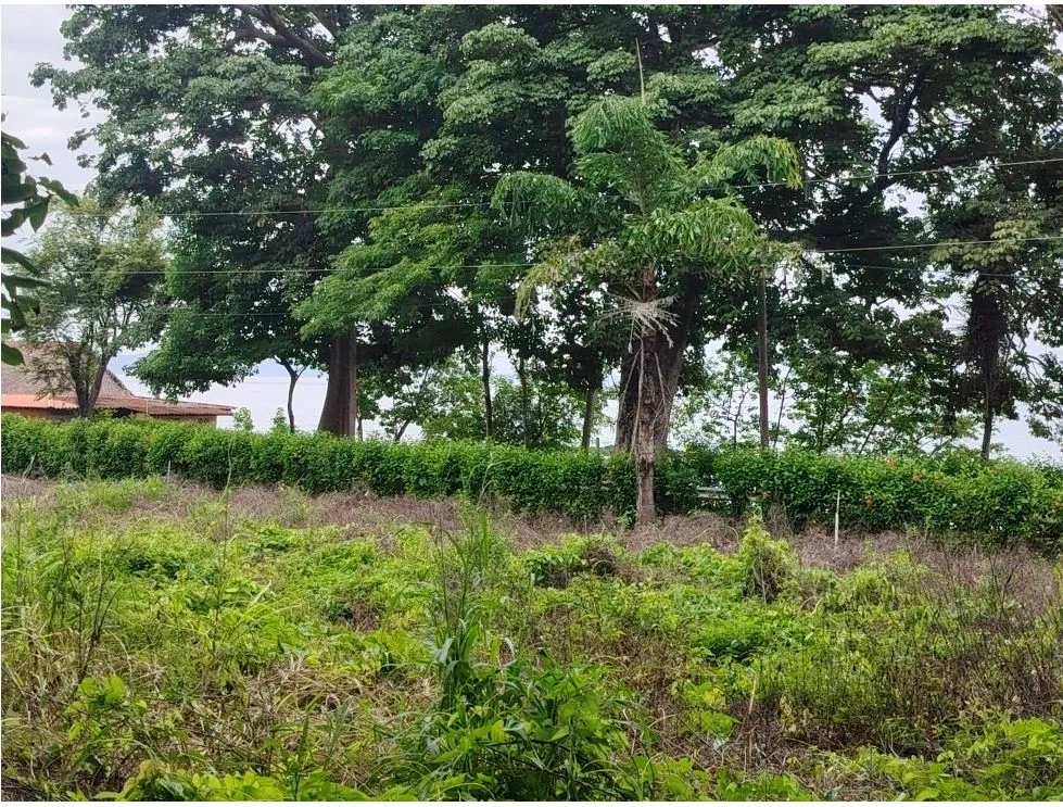 Oceanfront Lot for Sale in Playa Bucaro, Tonosí – Los Santos