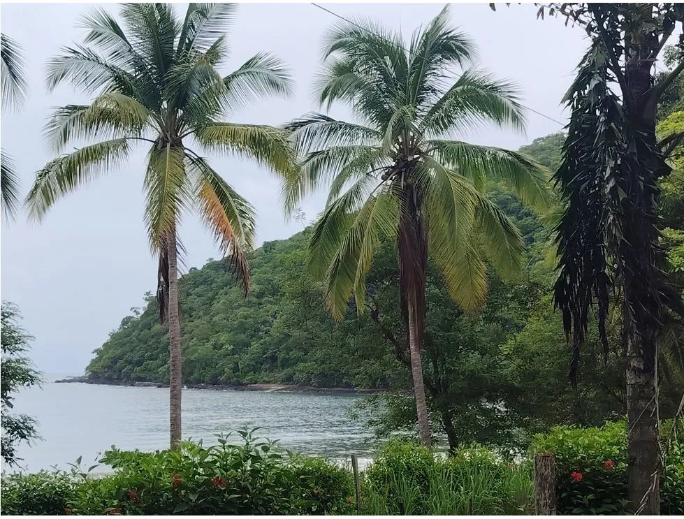 Oceanfront Lot for Sale in Playa Bucaro, Tonosí – Los Santos