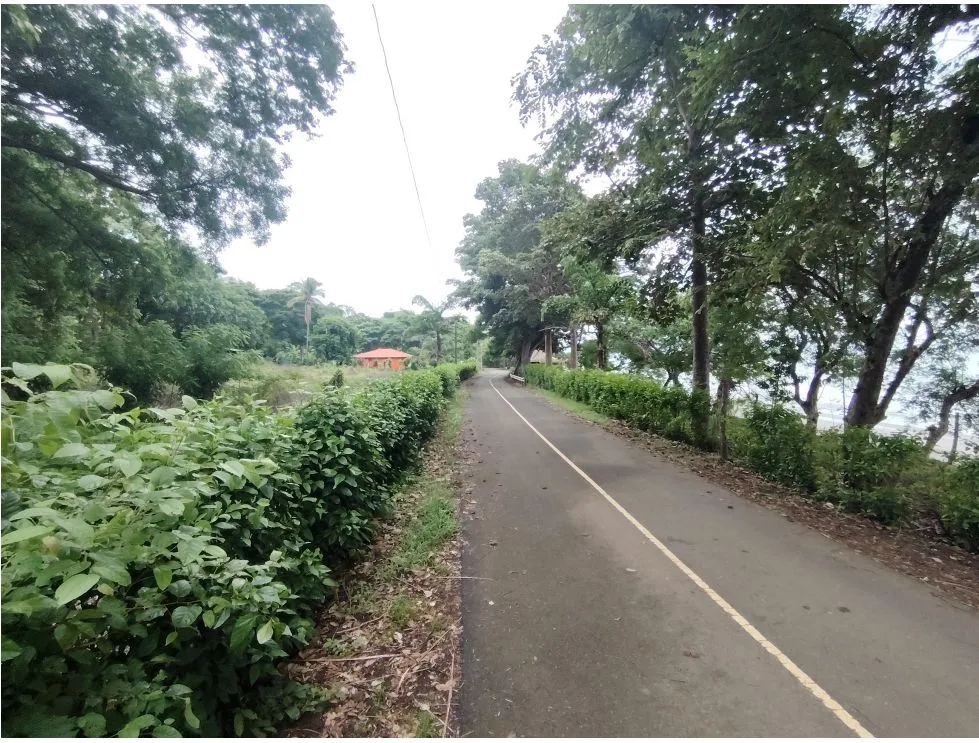 Oceanfront Lot for Sale in Playa Bucaro, Tonosí – Los Santos