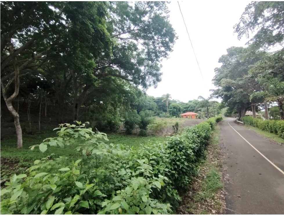 Oceanfront Lot for Sale in Playa Bucaro, Tonosí – Los Santos