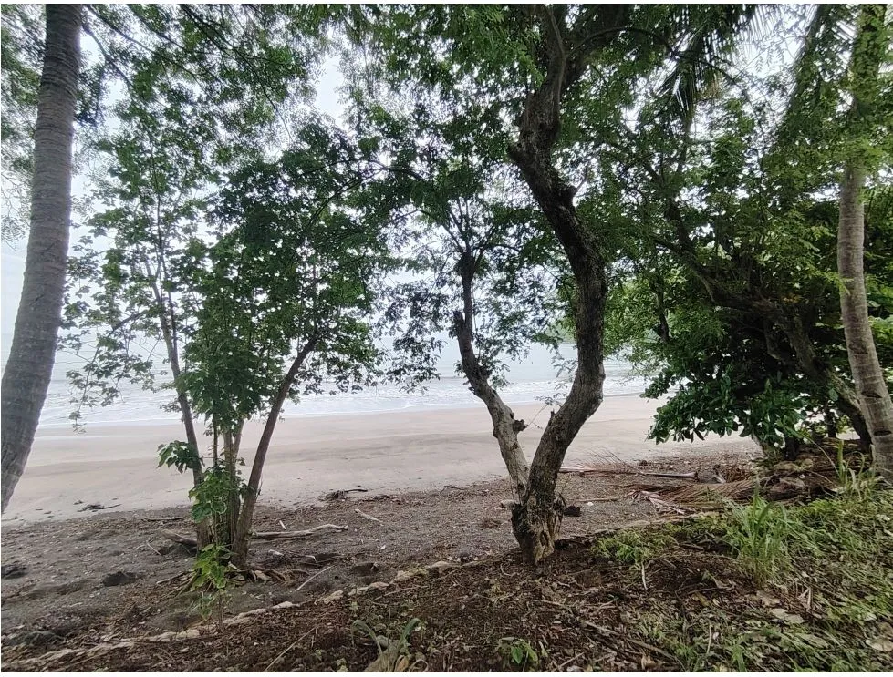 Oceanfront Lot for Sale in Playa Bucaro, Tonosí – Los Santos