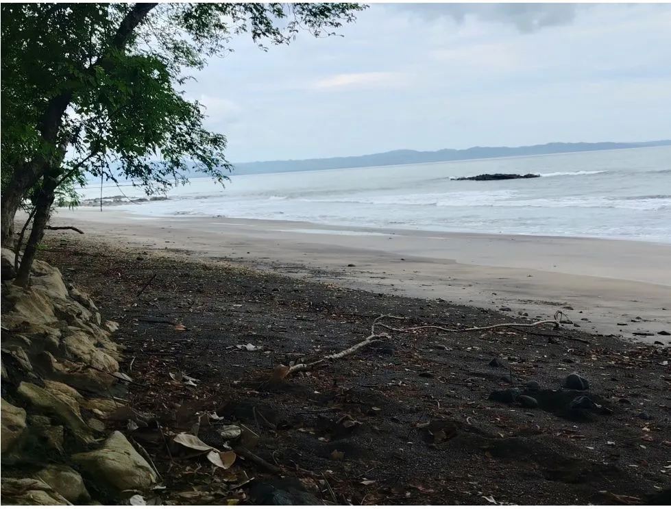 Oceanfront Lot for Sale in Playa Bucaro, Tonosí – Los Santos