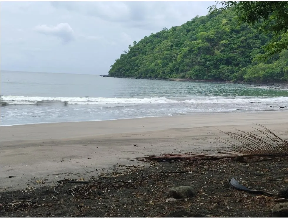 Oceanfront Lot for Sale in Playa Bucaro, Tonosí – Los Santos