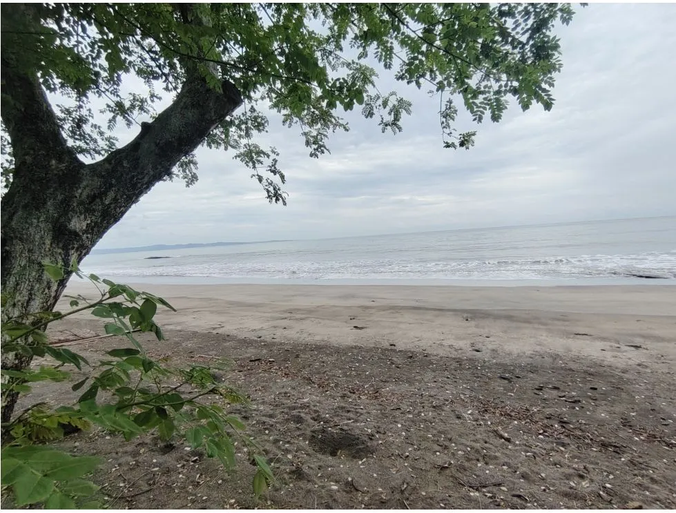 Oceanfront Lot for Sale in Playa Bucaro, Tonosí – Los Santos