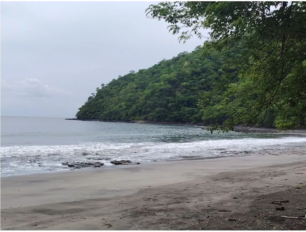 Lot for sale with panoramic ocean views in Playa Bucaro, Tonosí – Los Santos