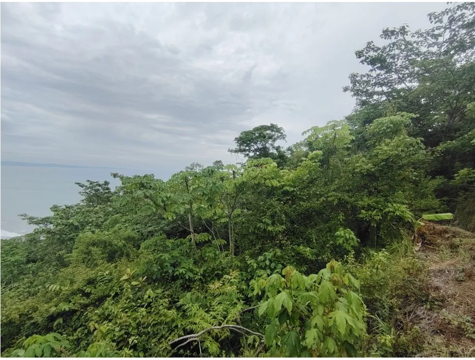 Lot for sale with panoramic ocean views in Playa Bucaro, Tonosí – Los Santos