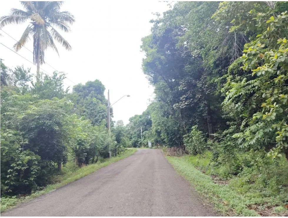 Lot for sale in Playa Guanico, Tonosí – Los Santos
