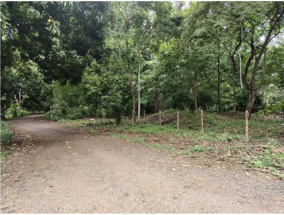 Lot for sale in Playa Guanico, Tonosí – Los Santos