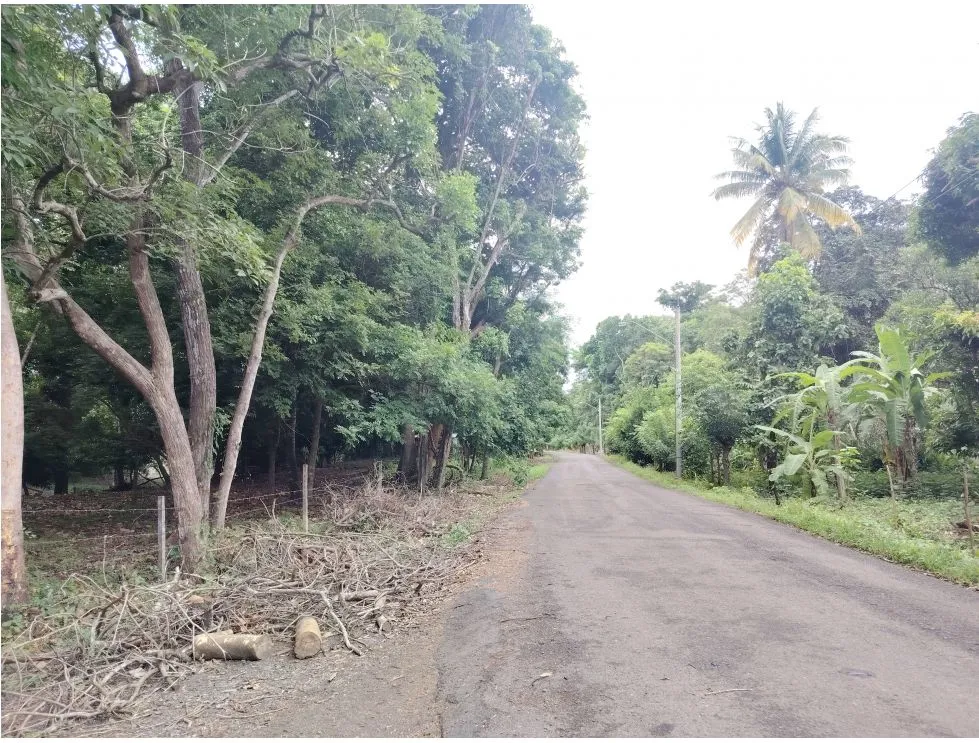 Lot for sale in Playa Guanico, Tonosí – Los Santos