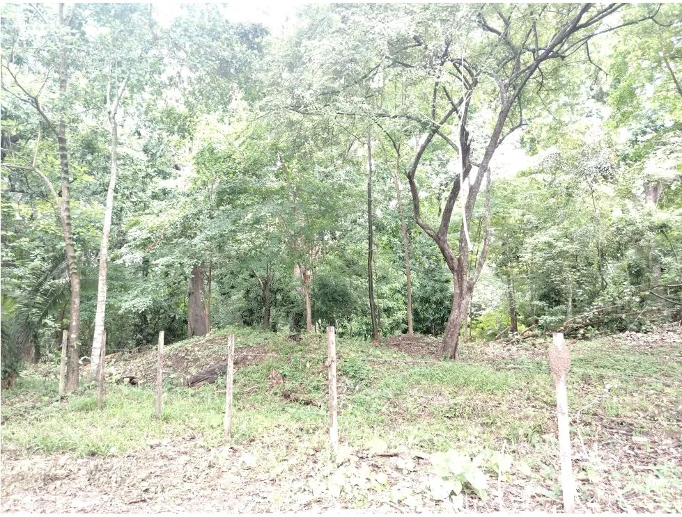 Lot for sale in Playa Guanico, Tonosí – Los Santos