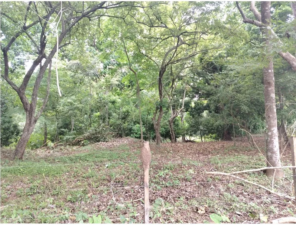 Lot for sale in Playa Guanico, Tonosí – Los Santos