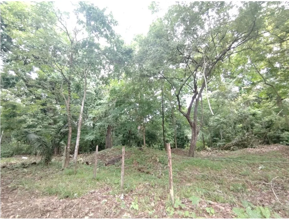 Lot for sale in Playa Guanico, Tonosí – Los Santos