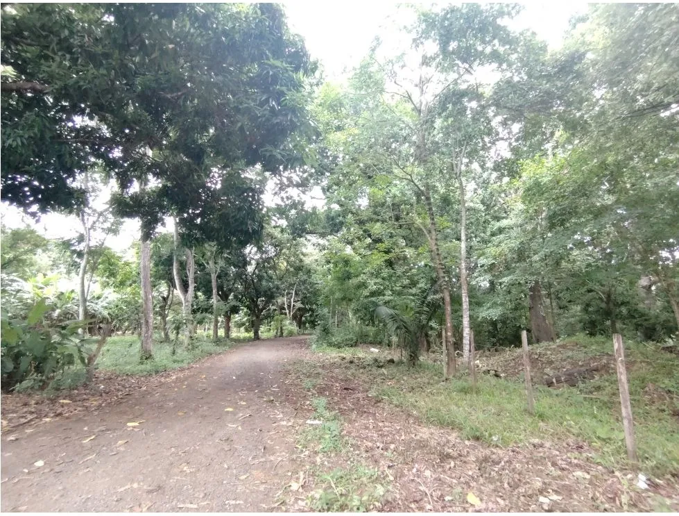 Lot for sale in Playa Guanico, Tonosí – Los Santos