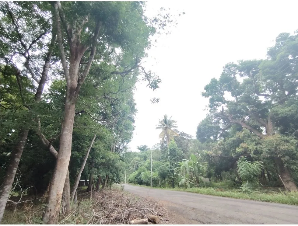 Lot for sale in Playa Guanico, Tonosí – Los Santos