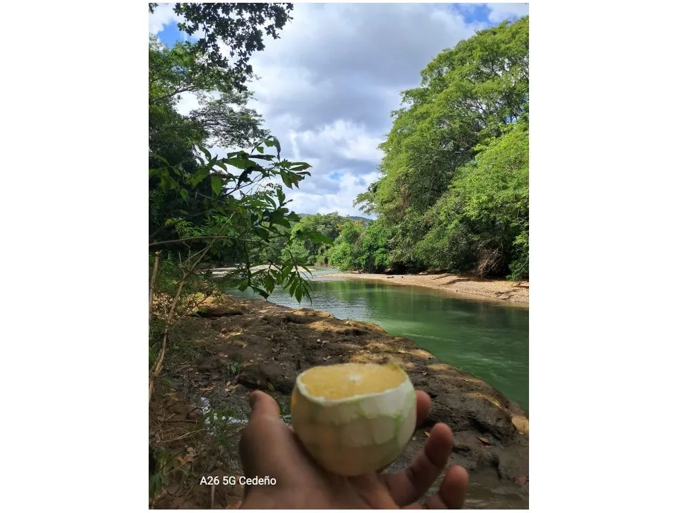 Lot for sale in Playa Guanico, Tonosí – Los Santos