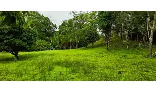 Titled Lot for Sale in Bucaro, Tonosí – Los Santos, Tonosi