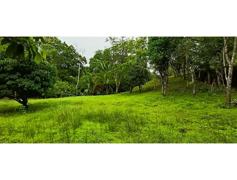 Titled Lot for Sale in Bucaro, Tonosí – Los Santos