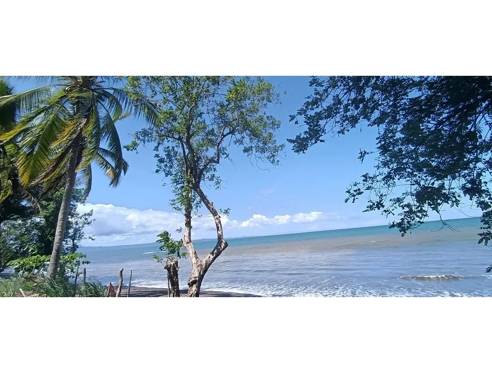 Titled Lot for Sale in Bucaro, Tonosí – Los Santos