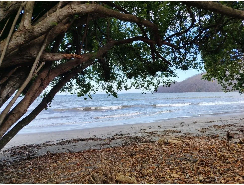 Titled Lot for Sale in Bucaro, Tonosí – Los Santos