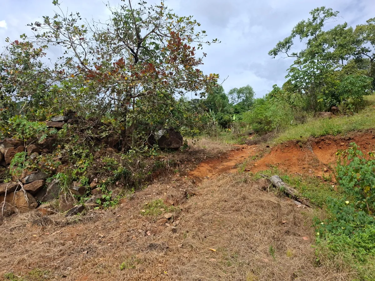 Lot for Sale in Cerro Azul Panama