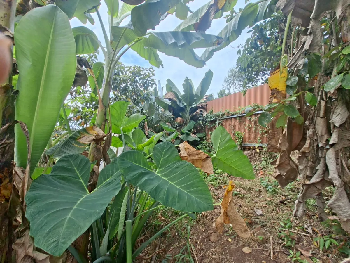 Lot for Sale in Cerro Azul Panama