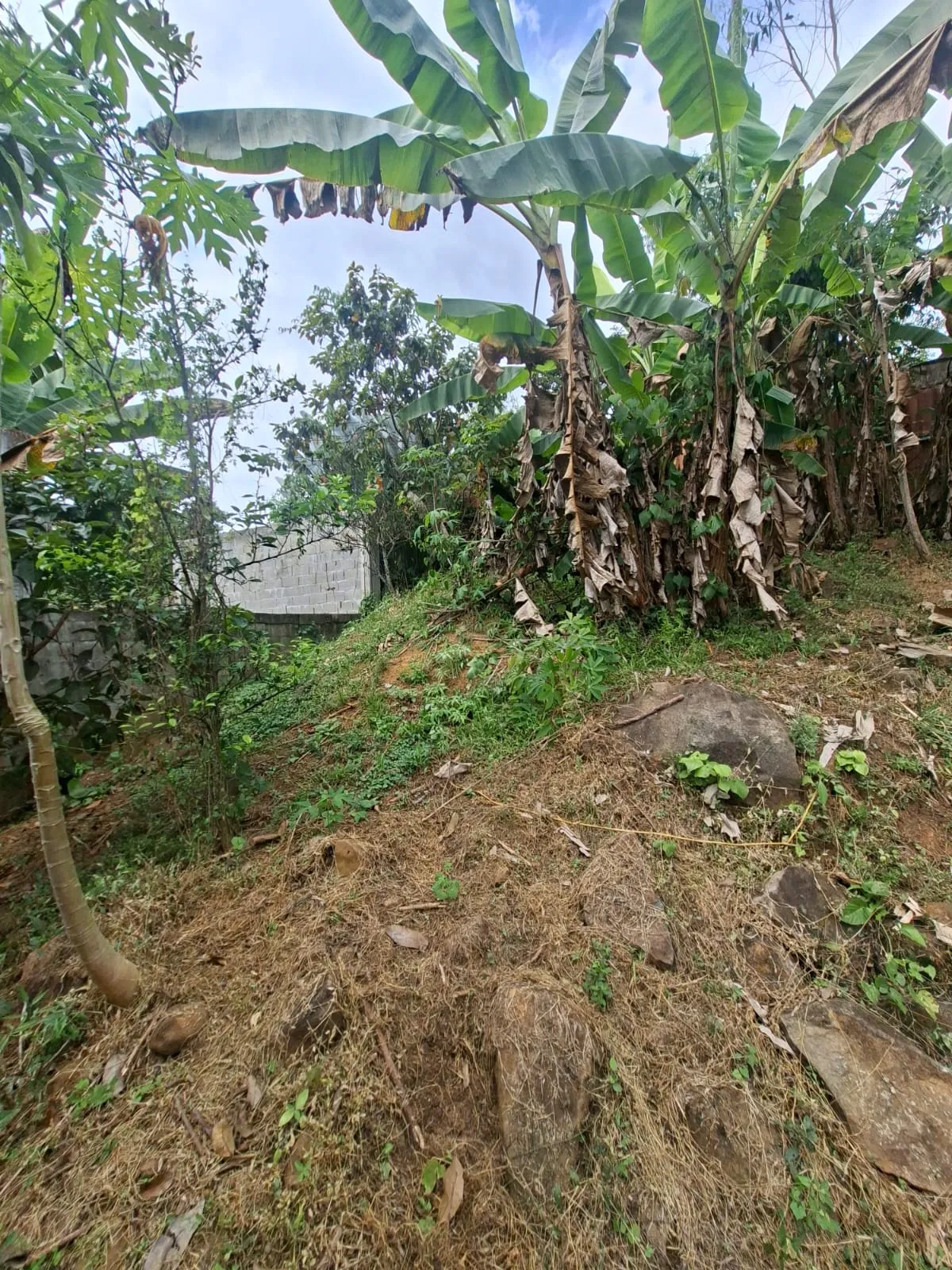 Lot for Sale in Cerro Azul Panama
