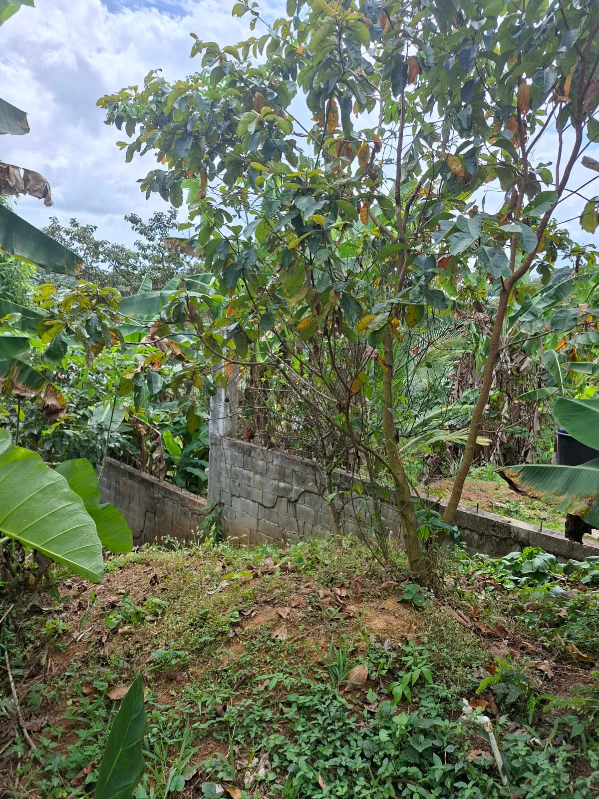 Lot for Sale in Cerro Azul Panama