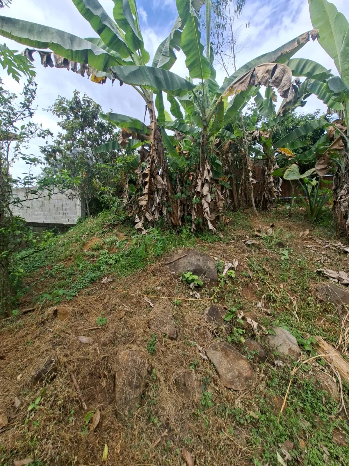 Lot for Sale in Cerro Azul Panama