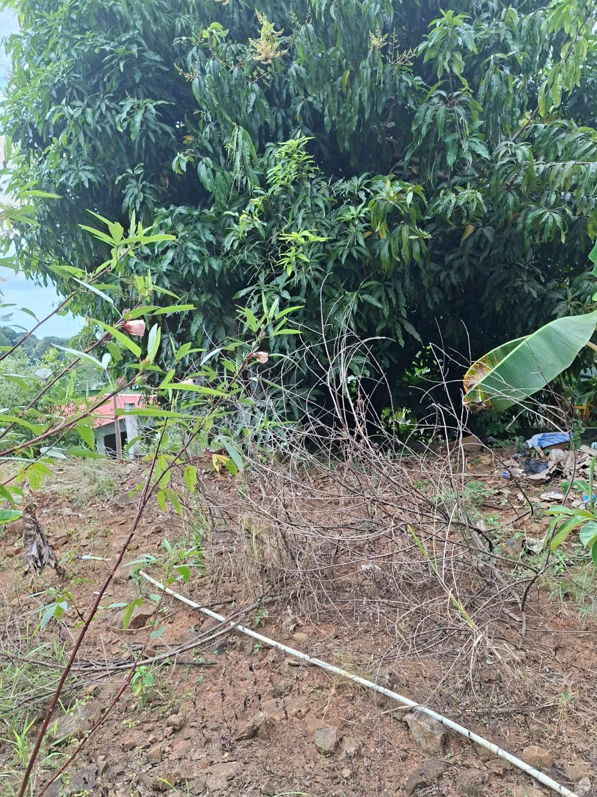 Lot for Sale in Cerro Azul Panama