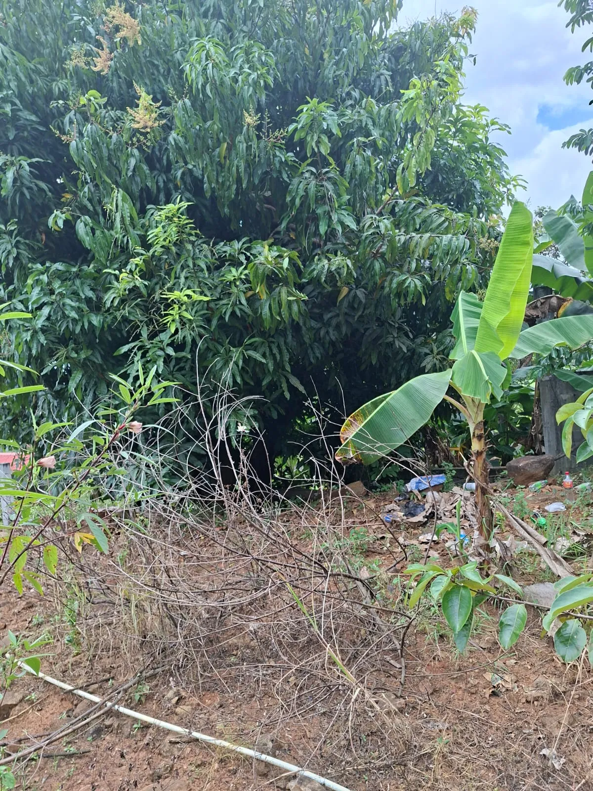 Lot for Sale in Cerro Azul Panama